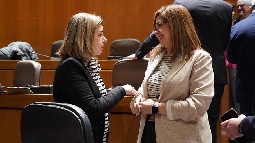 La consejera de Educación, en las Cortes: &quot;Las soluciones a Caneto vendrán dadas por la justicia&quot;