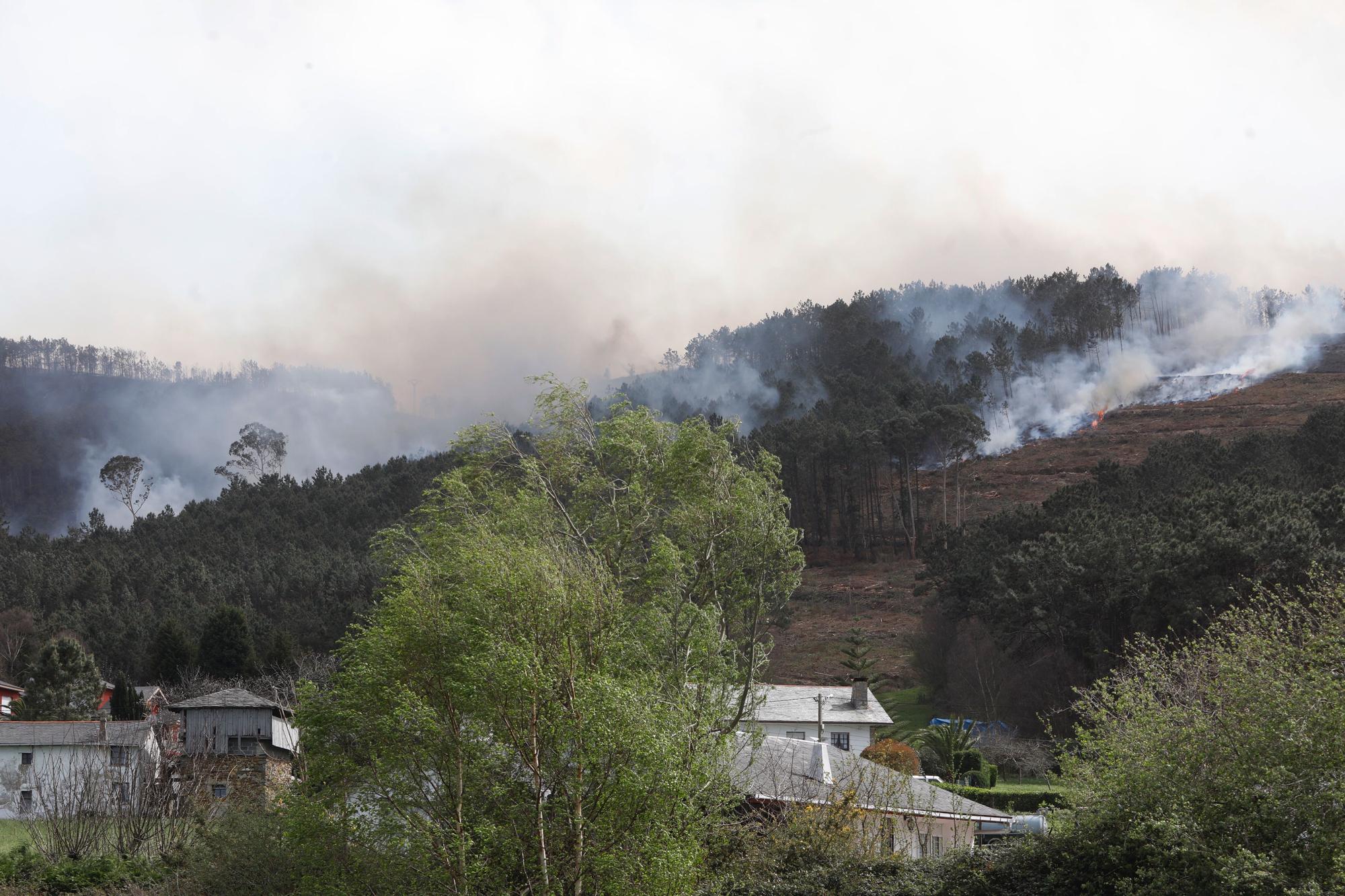 EN IMÁGENES: Gran oleada de incendios en Asturias