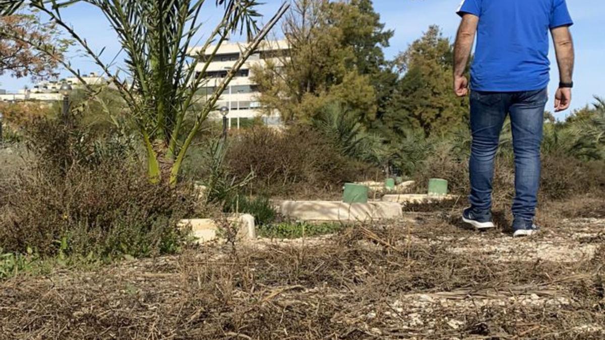 El jardín de los niños 12 años después