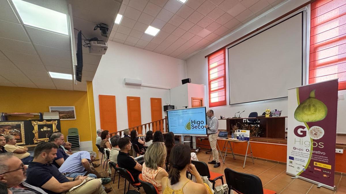 Encuentro sobre el higo seco.