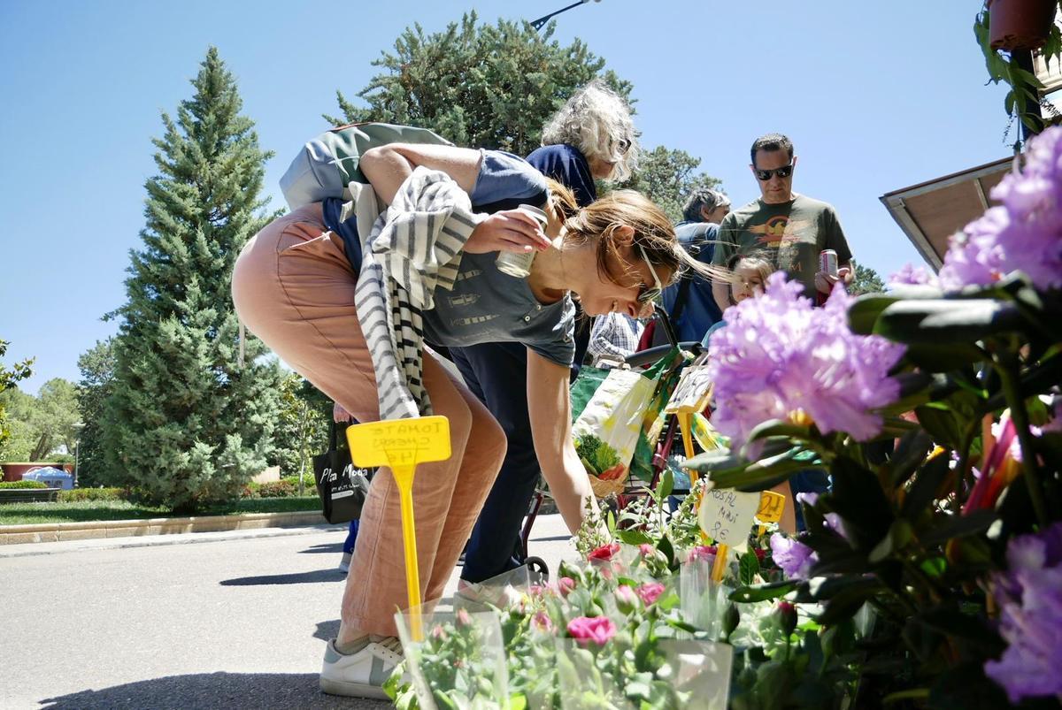 En imágenes | Gran afluencia de público para disfrutar del Zaragoza Florece