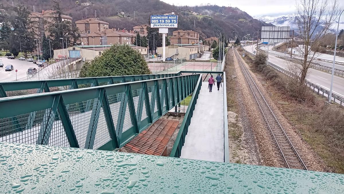 La pasarela de Vega de Arriba.