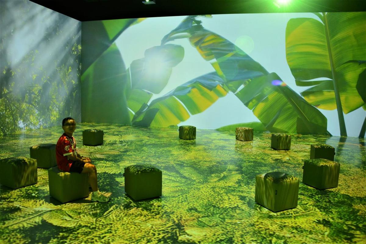 Interior de la sala immersiva.