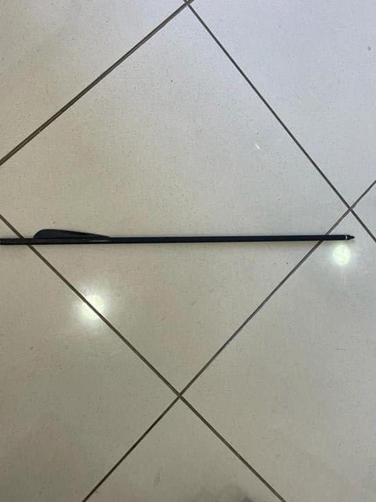 Flecha extraída de la perra atacada por un vecino de Los Silos con una ballesta.