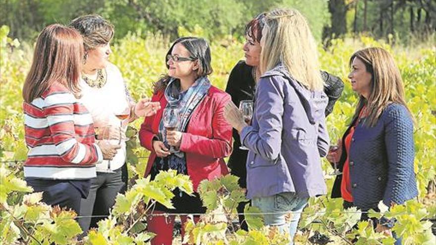 El Ayuntamiento lidera un proyecto para potenciar el turismo del vino