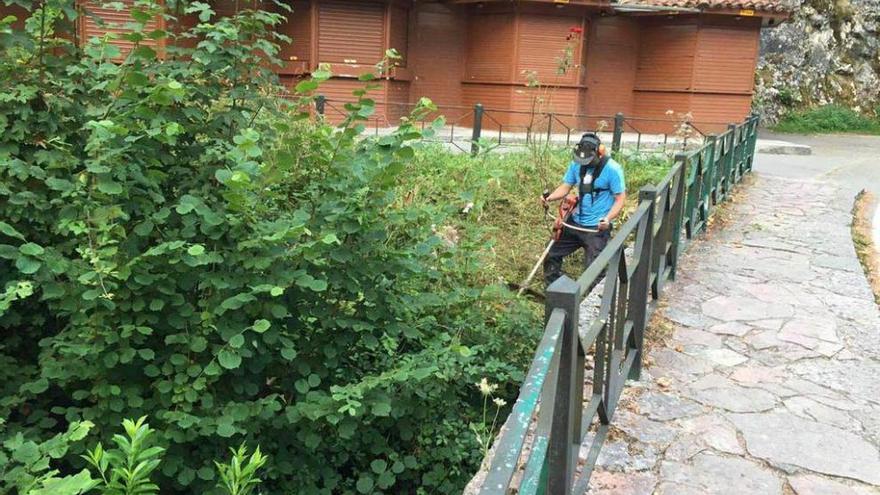 Puesta a punto de la rotonda de acceso a los Lagos