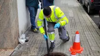 La digitalización llega a los servicios de control de plagas con los dispositivos inteligentes contra roedores e insectos