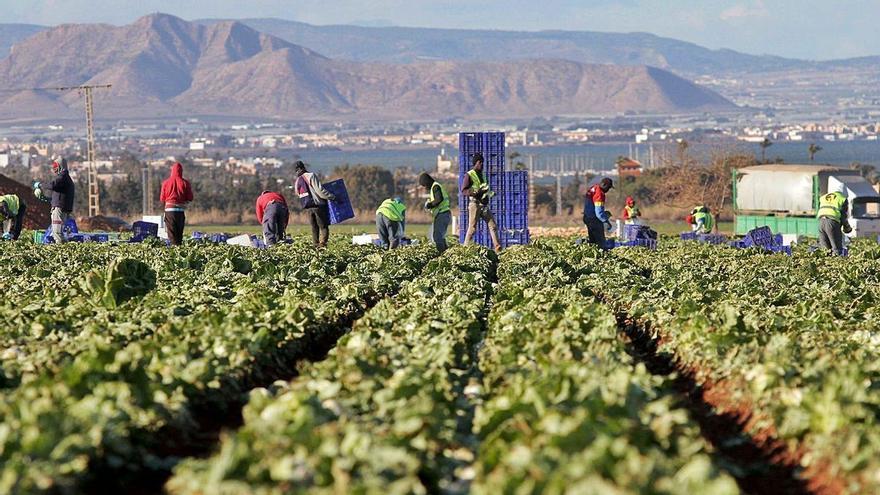 Viola a una jornalera en Murcia y la amenaza con despedirla si lo cuenta