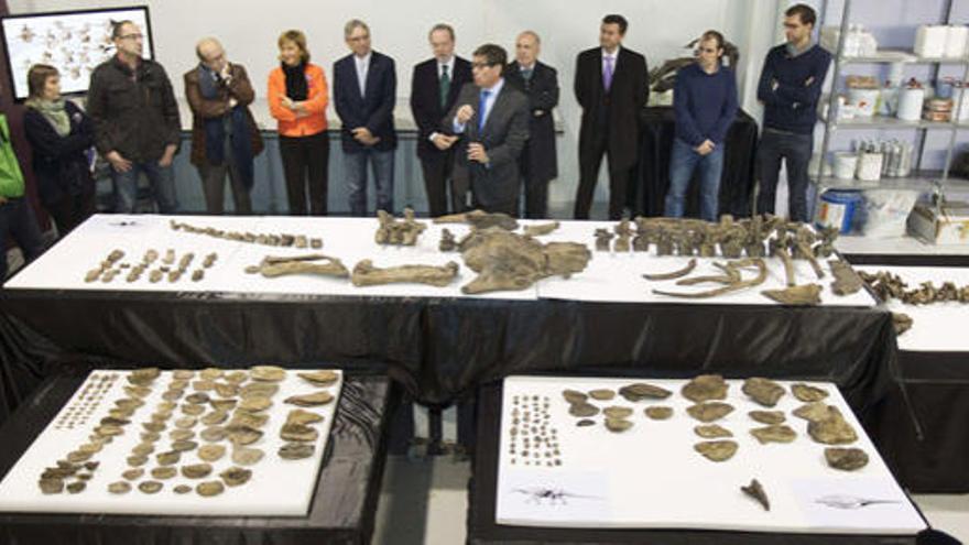 Arturo Aliaga durante la presentación de los fósiles