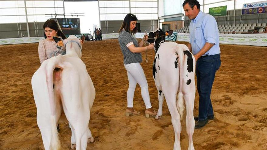 Presentan al sector un programa piloto de subproductos ganaderos