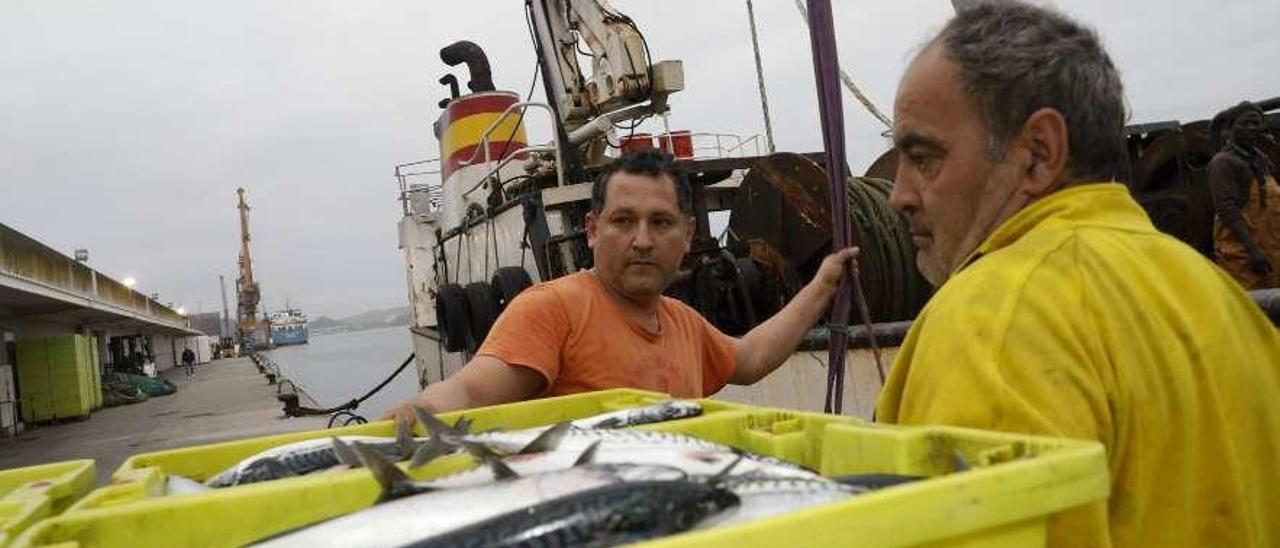 Descarga de cajas de xarda, el pasado miércoles, en el muelle pesquero de Avilés.