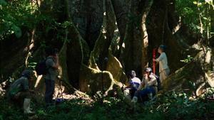Lejos de los árboles, de Meritxell Colell,  competirá en la sección oficial del Festival de Locarno.