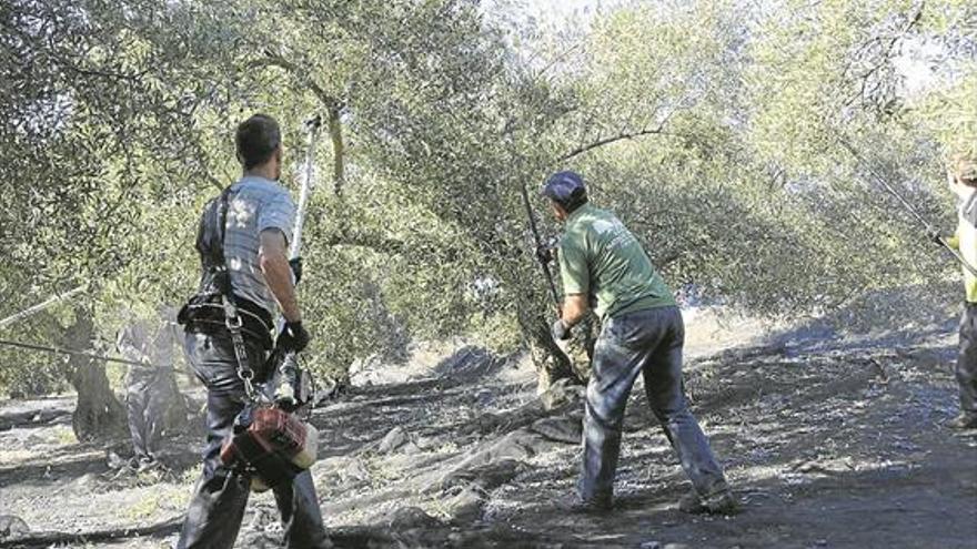 Los salarios crecen en Córdoba un 0,9%, por debajo de la media andaluza