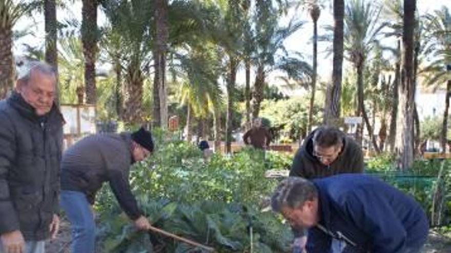 El boom de los huertos urbanos