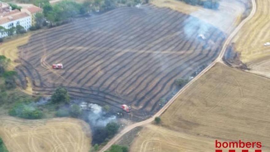 Un foc crema a Torroella de Baix