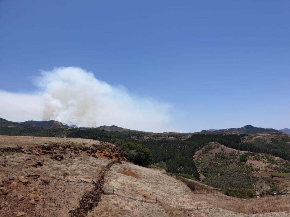 Incendio en la cumbre de Gran Canaria