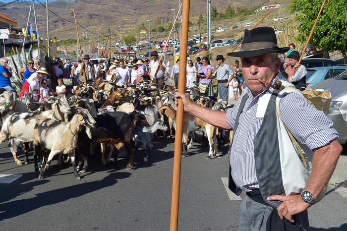 Romería de San Antonio el Chico