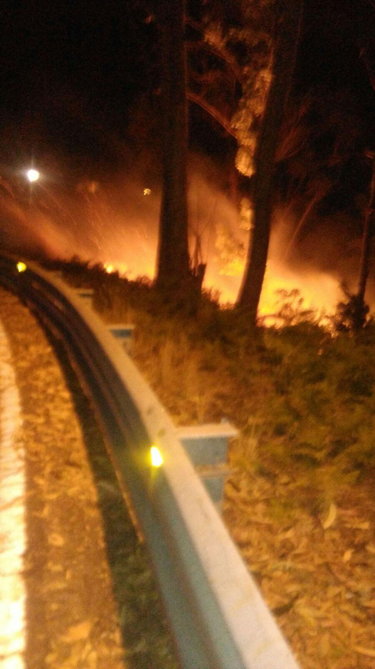 Un incendio forestal en Beluso.