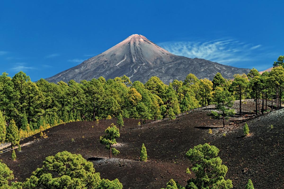 España: “La Orotava era un lugar encantador con la gran montaña que lo dominaba todo”
