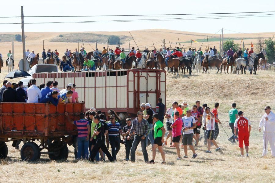 Encierro Guarrate