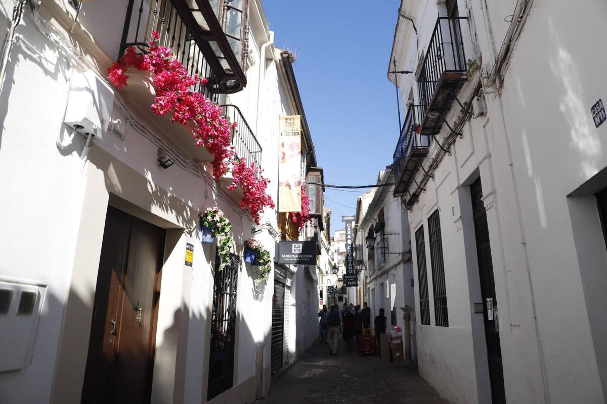 Guías turísticos y vecinos alertan de la invasión de flores de plástico en el casco histórico