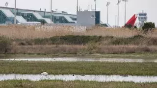 Unió de Pagesos denunciará ante la justicia el aumento de la zona protegida del delta del Llobregat