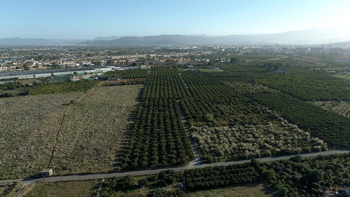 La zona de la playa de Gandia en la que se instalará el 'ecocamping' de la empresa Ohai.