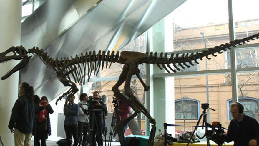 Descubren un dinosaurio con los mismos brazos que el T. Rex - Levante-EMV
