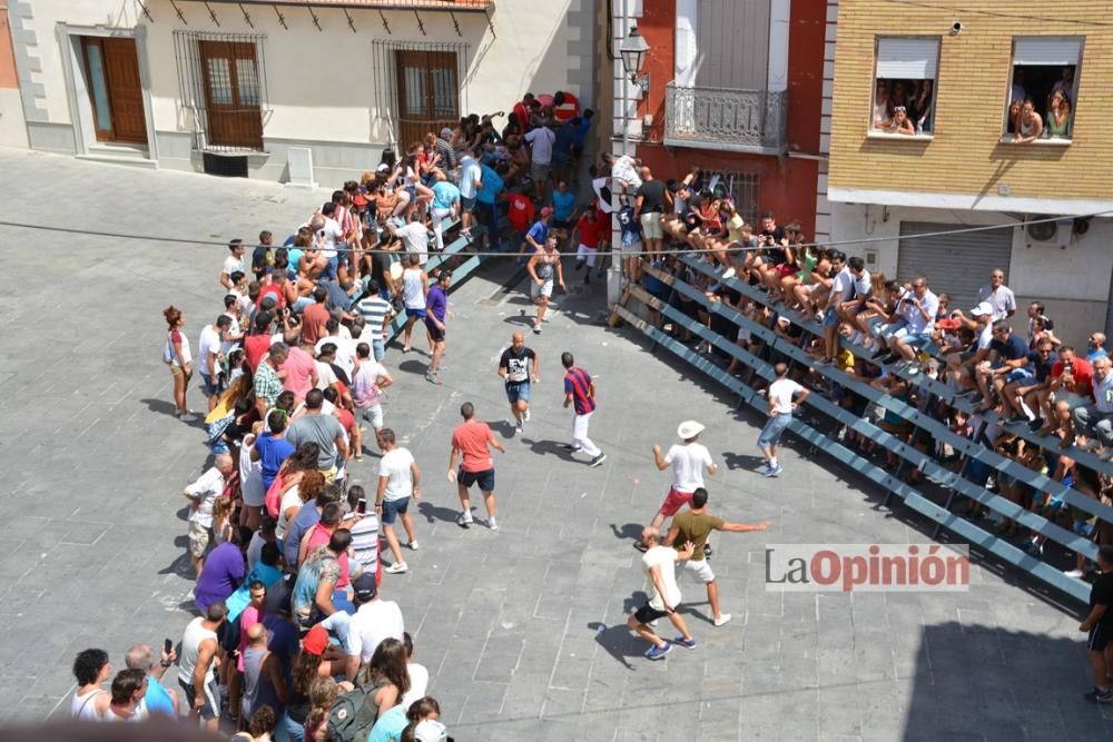 I Encierro de Blanca 2016