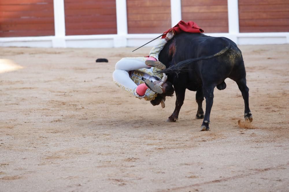 Así fue la cogida del novillero José F. Molina