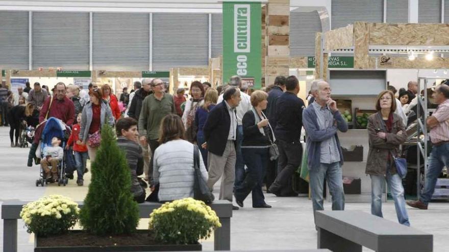 Feria Ecocultura que se celebra en Ifeza, en Zamora capital.