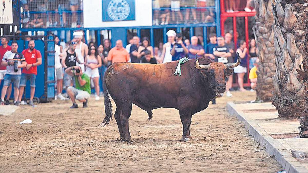 Imagen de archivo de un acto taurino en el Grau de Castelló.
