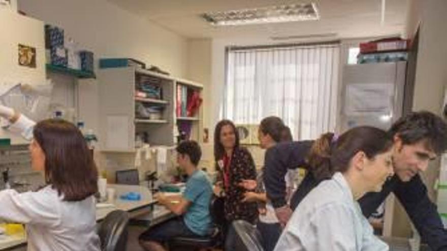 Investigadores del Instituto de Neurociencias de la Universidad Miguel Hernández de Elche.