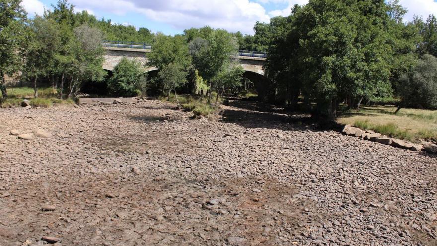 La sequía del río Negro, en estado crítico, amenaza la pervivencia de las náyades