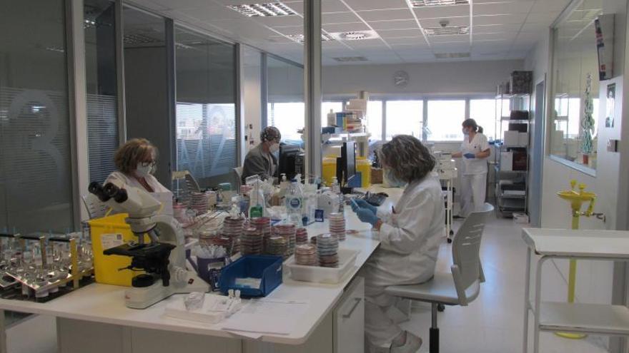 Laboratorio donde se realizan las pruebas PCR para detectar casos de covid en el hospital de Gandia | LEVANTE-EMV