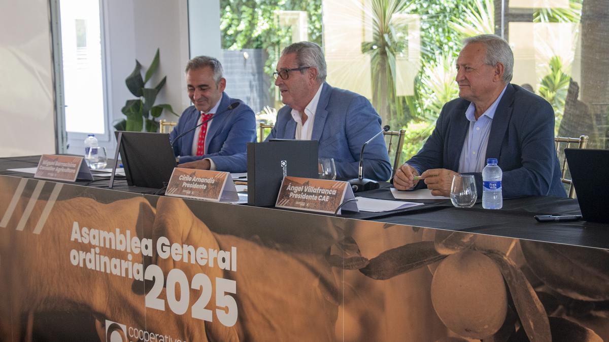 Miguel Barrachina, Cirilo Arnandis y Ángel Villafranca, en la asamblea de las cooperativas agrarias.