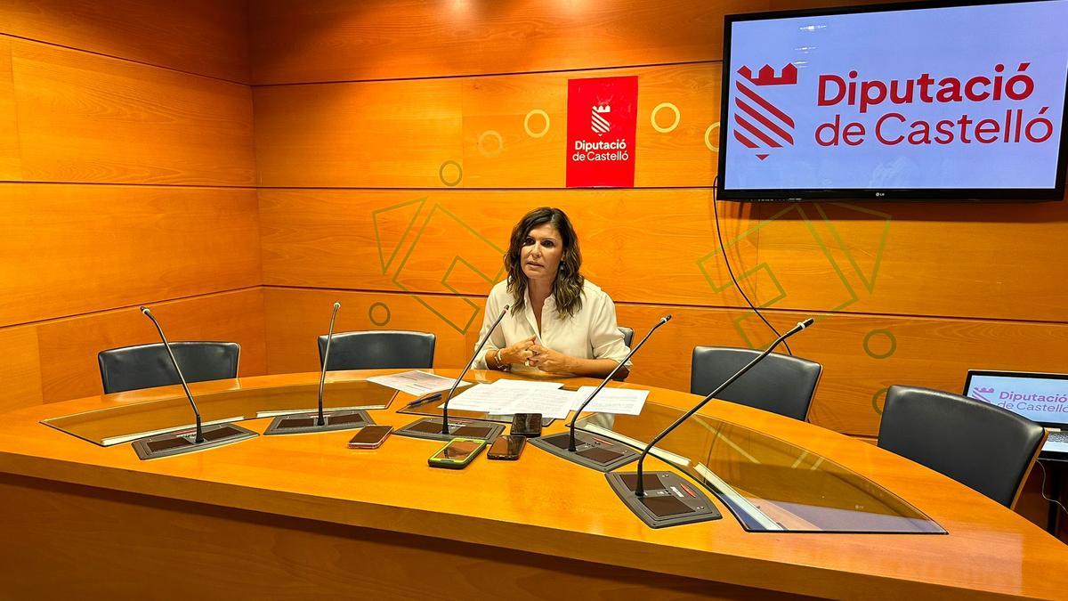 La vicepresidenta del área económica de la Diputación, María Ángeles Pallarés, en la rueda de prensa.