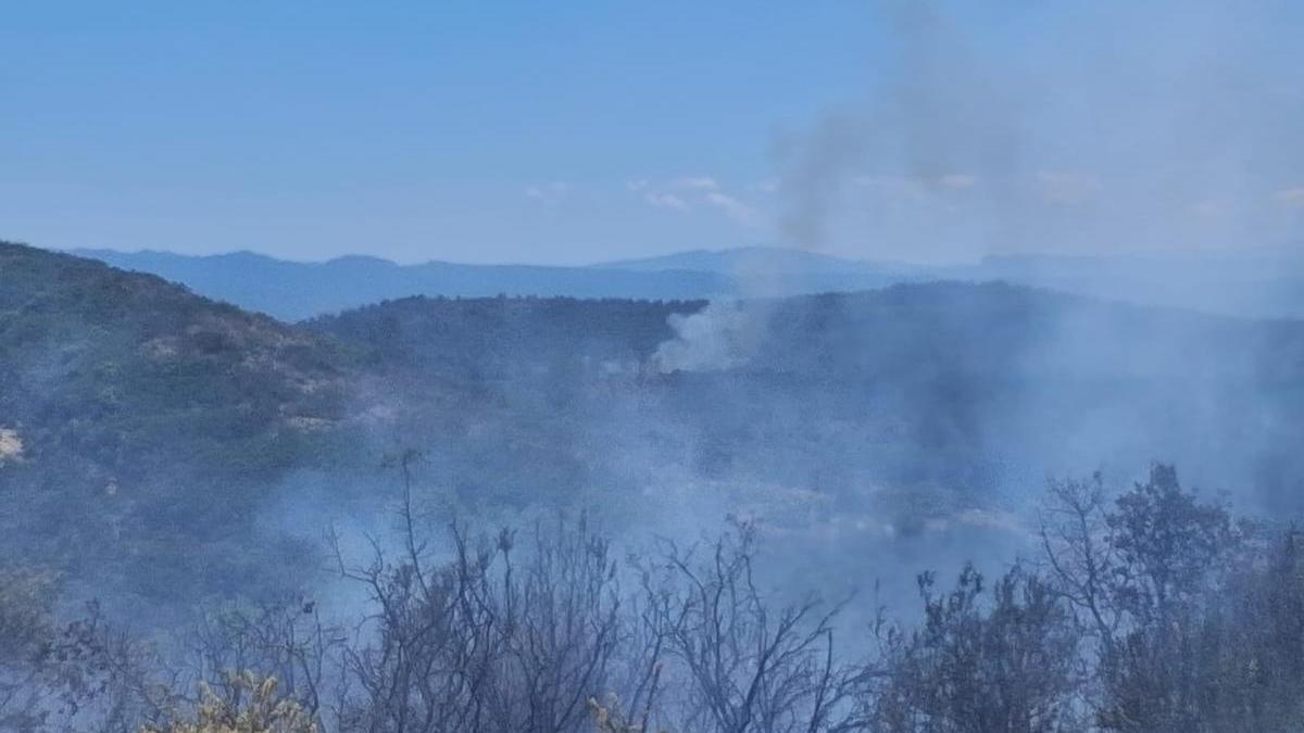 Una imagen del incendio declarado esta mañana en Tous.