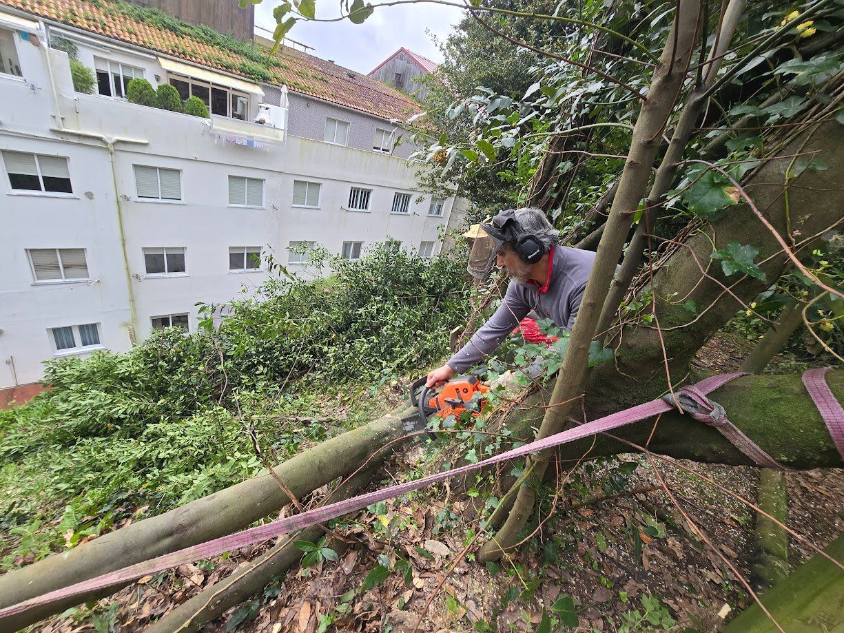 La tala de árboles en el Parque Valdés Bermejo para garantizar la seguridad ciudadana.