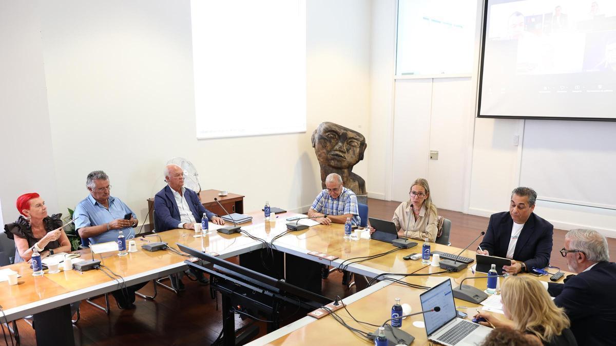 El Consejo Social de la ULPGC durante la reunión de este jueves.