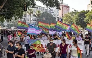 Imputado por delito de odio por escupir a la regidora de Seguretat de Palma durante el Orgullo