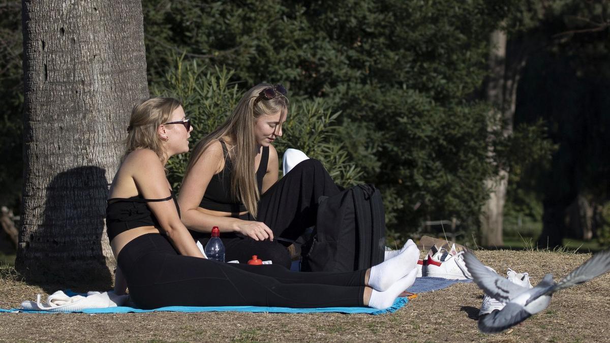 Dos jóvenes tomando el sol, el día 30 de diciembre, en el Parc de la Ciutadella.