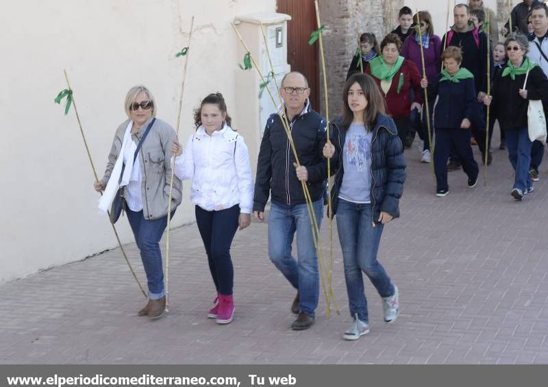 GALERÍA DE FOTOS - Romería Magdalena 2014 (2)