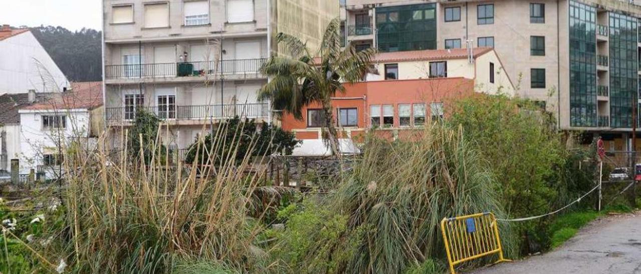 El gobierno municipal quiere poner freno a las parcelas tomadas por la maleza. // Gonzalo Núñez