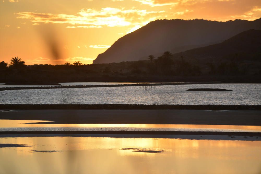 Entorno salinero del Rasall (Calblanque)