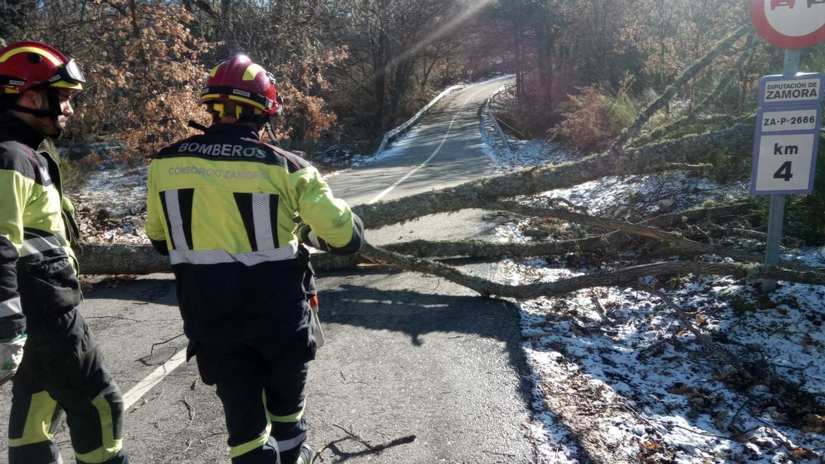 Los bomberos del Consorcio Provincial realizan numerosas intervenciones en la provincia de Zamora