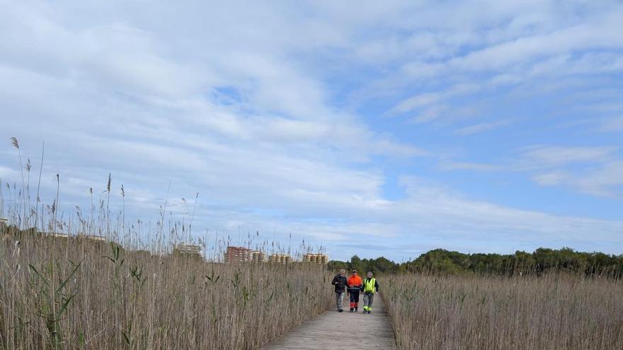 Anticiparse para proteger: la sanidad ambiental como aliada del medio ambiente