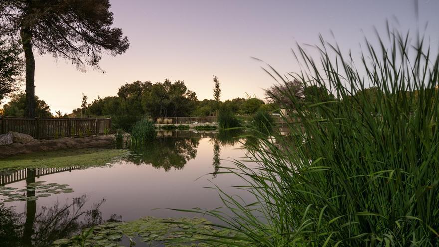 Ejemplo recontrucción verde. Nuevo parque para uso y almacenamiento agua regenerada.