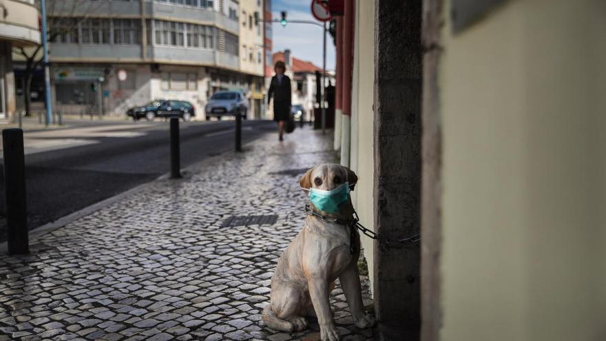 Escultura de un perro con mascarilla en Portugal