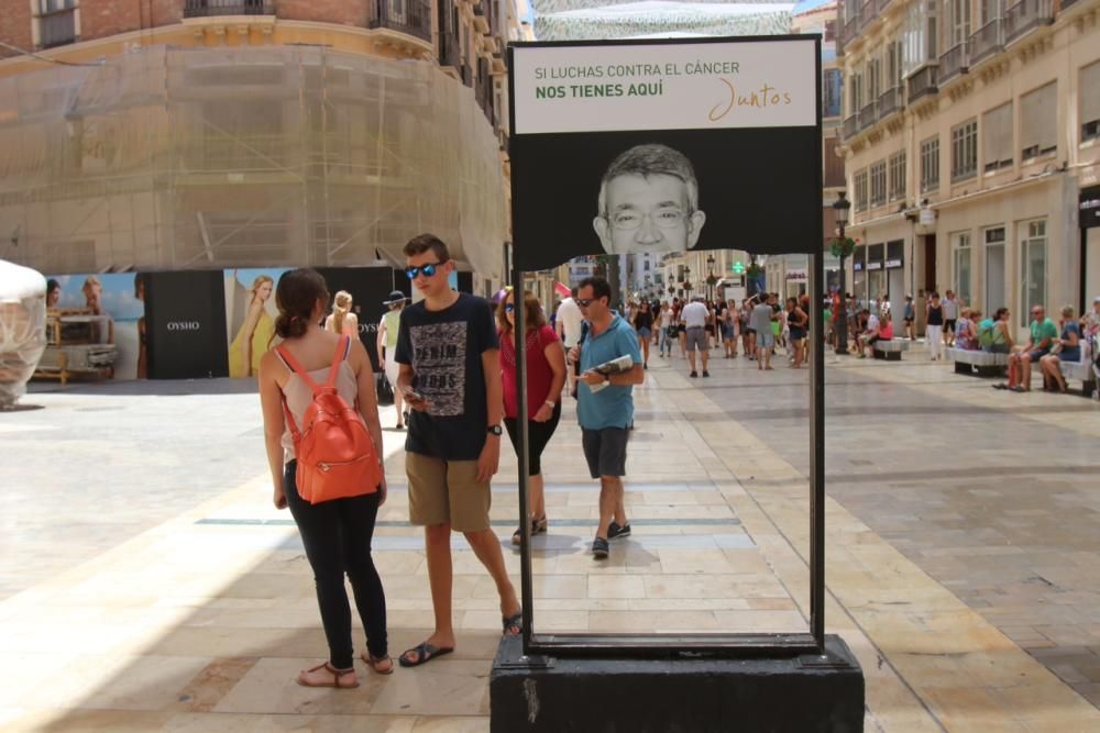 Destrozos en la exposición sobre el cáncer en la calle Larios.